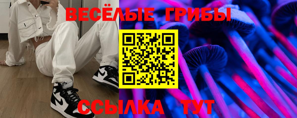 Псилоцибиновые грибы ЛСД  закладка  Майкоп  Галлюциногенные грибы ЛСД  Вход с VPN 